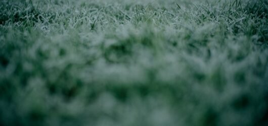 Jalen Brunson : Des déclarations inquiétantes après un début de saison difficile