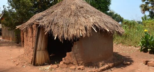 Giannis Antetokounmpo domine : « C’est ma maison, c’est à moi ! »